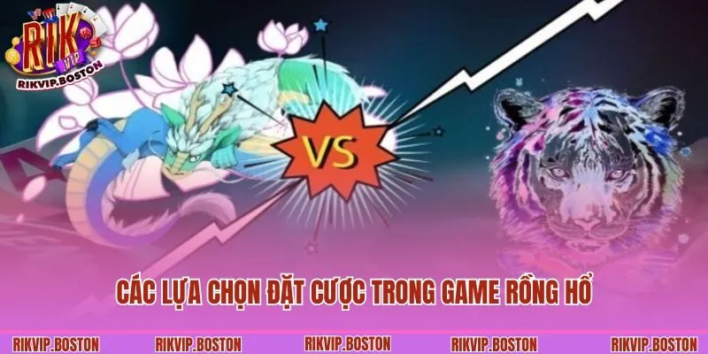 Các lựa chọn đặt cược trong game Rồng Hổ